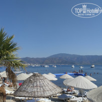 фото из отзыва ID 1678648