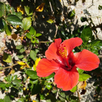 фото из отзыва ID 1678633