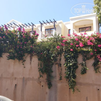 фото из отзыва ID 1678633