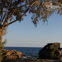 фото из отзыва ID 1678633