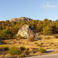 фото из отзыва ID 1678633