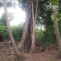 фото из отзыва ID 1678699