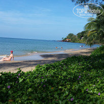 фото из отзыва ID 1678699