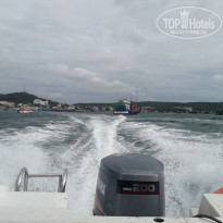 фото из отзыва ID 1678699