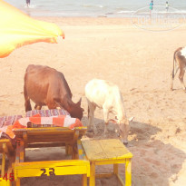 фото из отзыва ID 1678733