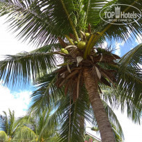 фото из отзыва ID 1678758