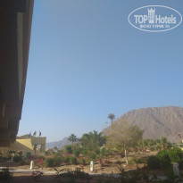 фото из отзыва ID 1678784