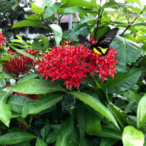 фото из отзыва ID 1678917