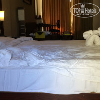 фото из отзыва ID 1678967