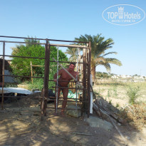 фото из отзыва ID 1679121