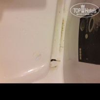 фото из отзыва ID 1679150