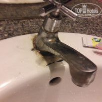 фото из отзыва ID 1679150