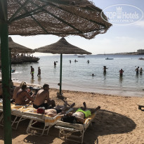 фото из отзыва ID 1679198