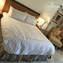 фото из отзыва ID 1679198