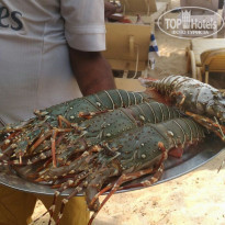 фото из отзыва ID 1679283