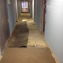 фото из отзыва ID 1679505