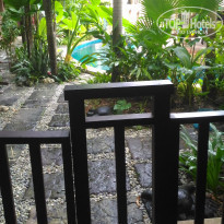 фото из отзыва ID 1679166