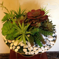 фото из отзыва ID 1679576