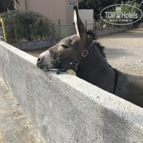 фото из отзыва ID 1679679