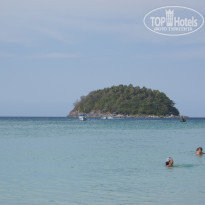 фото из отзыва ID 1679745