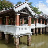 фото из отзыва ID 1679775