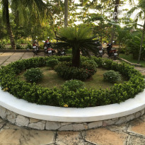 фото из отзыва ID 1679775