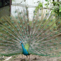 фото из отзыва ID 1679731