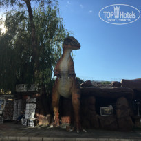 фото из отзыва ID 1679226