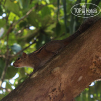 фото из отзыва ID 1679812