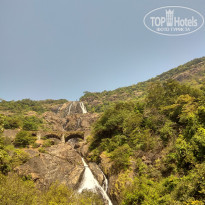 фото из отзыва ID 1679834