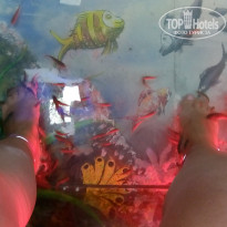 фото из отзыва ID 1679951