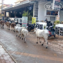 фото из отзыва ID 1679951