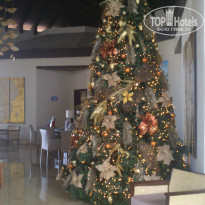 фото из отзыва ID 1679992