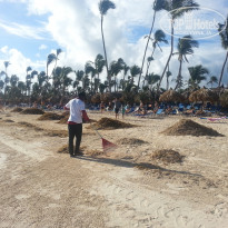 фото из отзыва ID 1671247