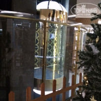 фото из отзыва ID 1679461