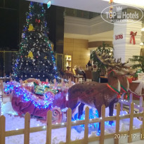 фото из отзыва ID 1679461