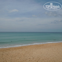 фото из отзыва ID 1677982