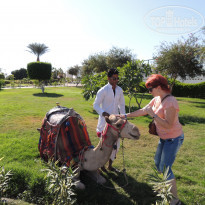 фото из отзыва ID 1679898