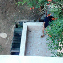 фото из отзыва ID 1676552