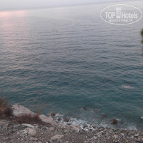 фото из отзыва ID 1673812