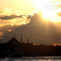 фото из отзыва ID 168280