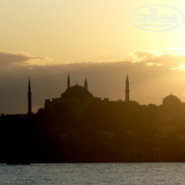 фото из отзыва ID 168280