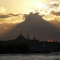 фото из отзыва ID 168280