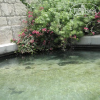 фото из отзыва ID 168443