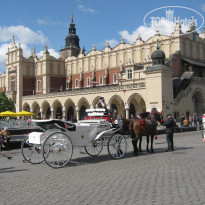 фото из отзыва ID 1680002