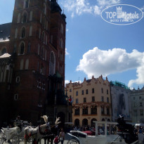 фото из отзыва ID 1680002