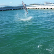 фото из отзыва ID 1680041