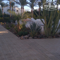 фото из отзыва ID 1680293