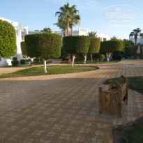 фото из отзыва ID 1680293