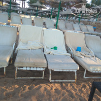 фото из отзыва ID 1680293